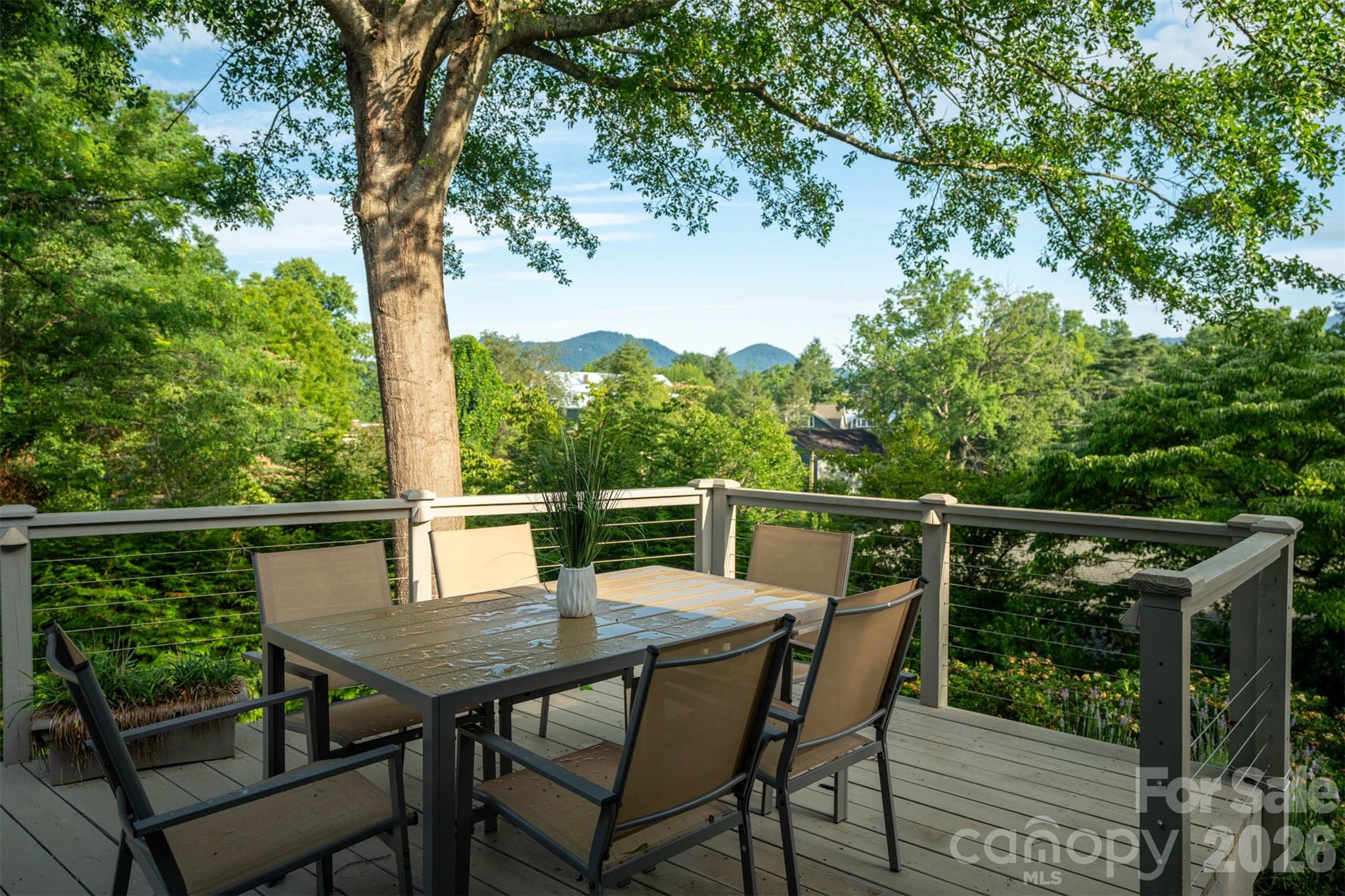55 1st Street Tryon, NC 28782 - Photo 26 of 39