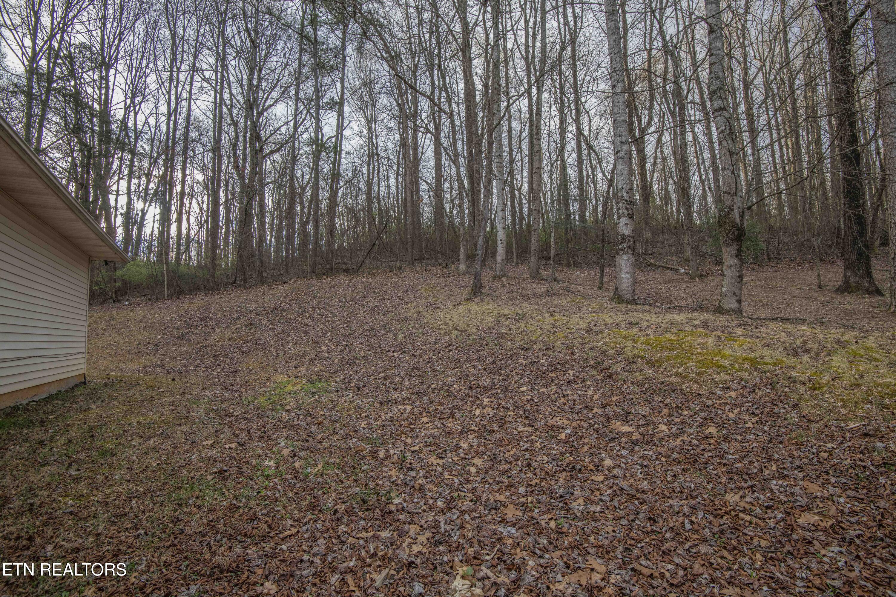 150 Waymier Road Sweetwater, TN 37874 - Photo 36 of 41 yard_1