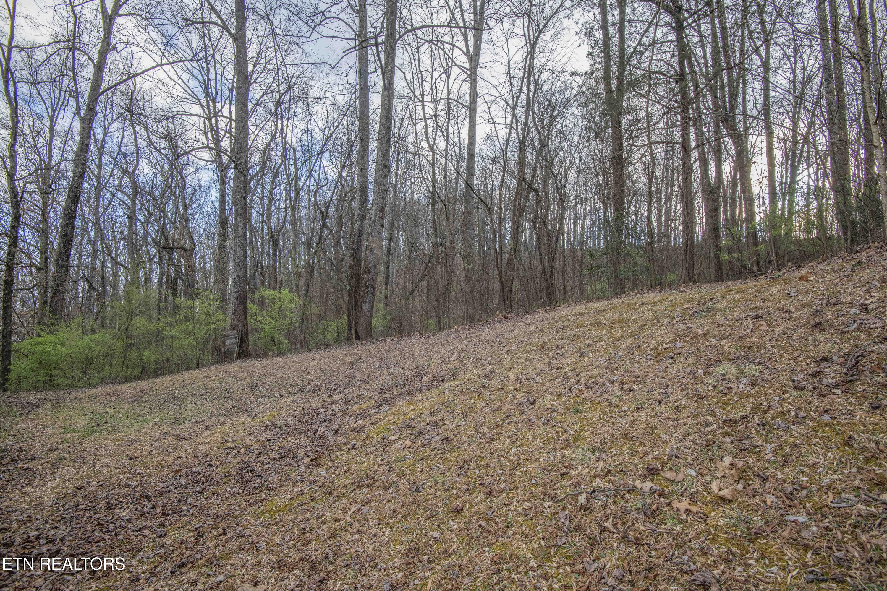 150 Waymier Road Sweetwater, TN 37874 - Photo 38 of 41 yar 3_1