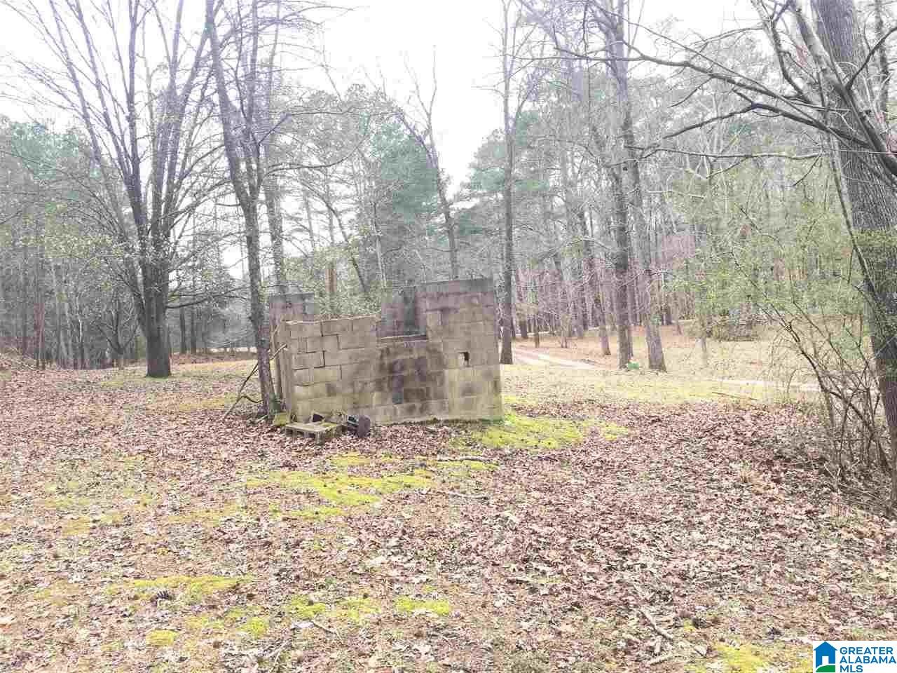 7465 Rodgers Road Southwest Leeds, AL 35094 - Photo 22 of 25