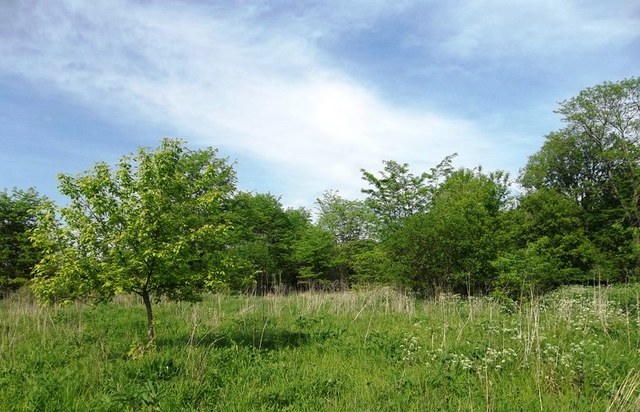 Tbd Clark Road Chadwick, IL 61081 - Photo 2 of 4