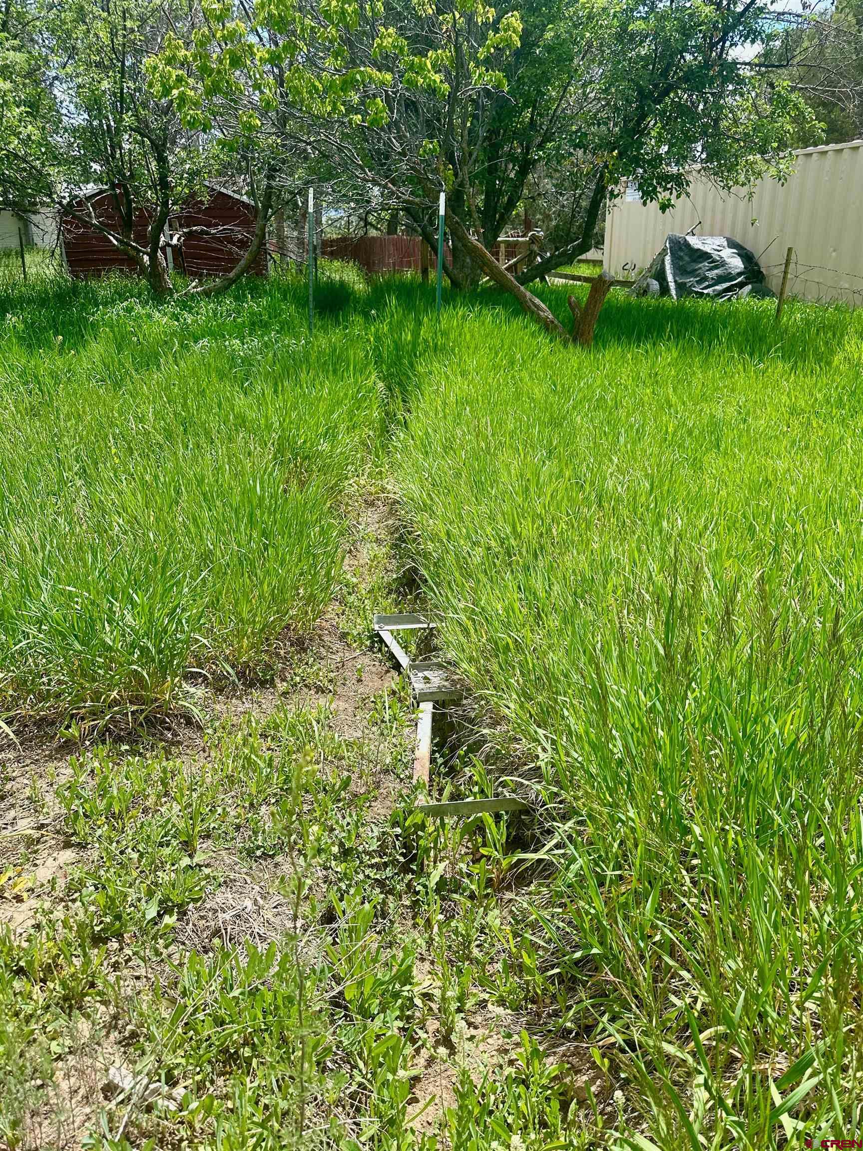 41559 Road H 25 Mancos Co 81328 Mancos, CO 81328 - Photo 13 of 20 a view of a backyard with a garden