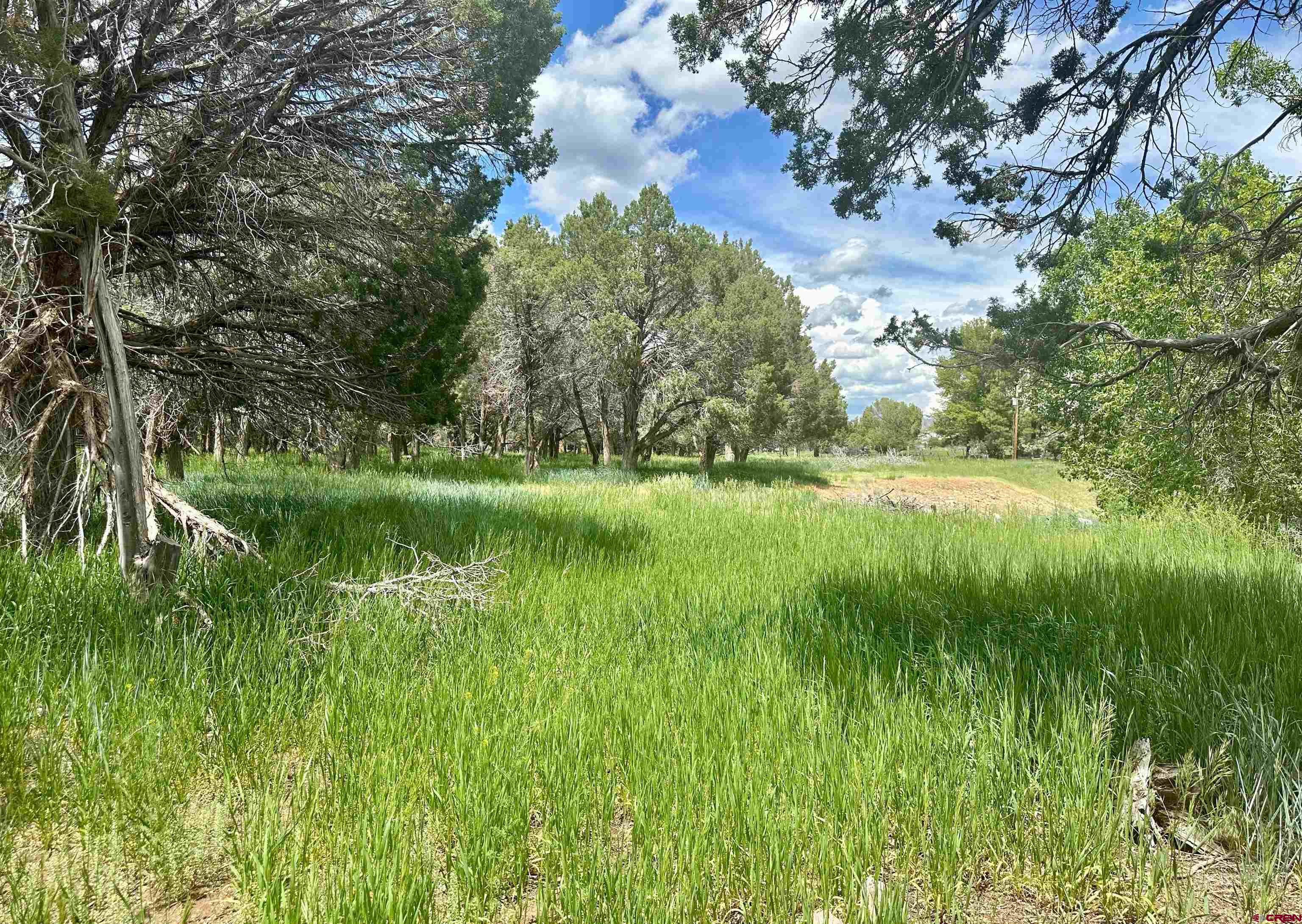 41559 Road H 25 Mancos Co 81328 Mancos, CO 81328 - Photo 16 of 20 a view of a lush green space