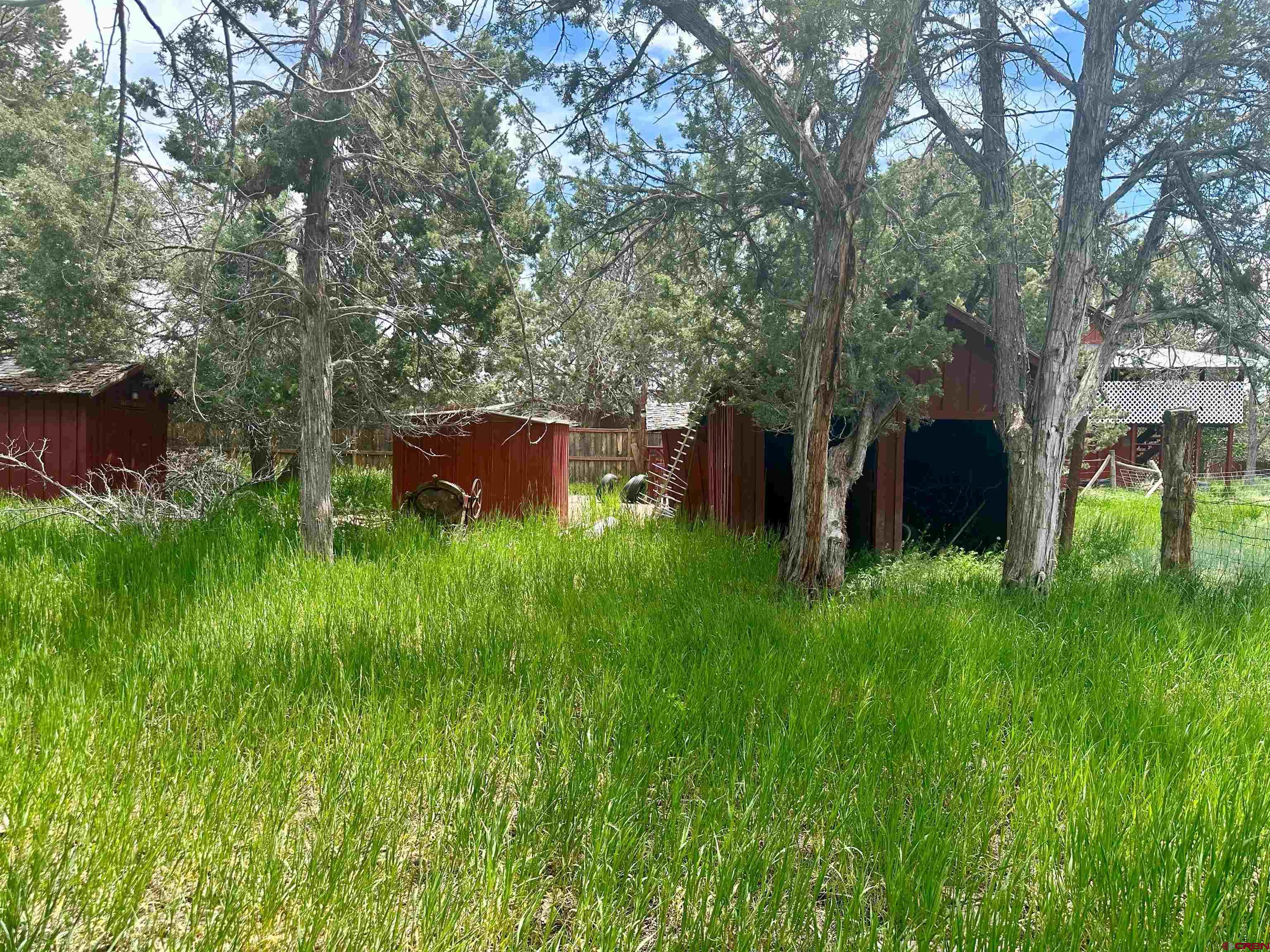 41559 Road H 25 Mancos Co 81328 Mancos, CO 81328 - Photo 17 of 20 a backyard of a house with lots of green space and plants