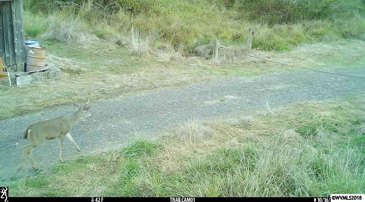 0 Hungry Hill Road Scio, OR 97374 - Photo 23 of 33 Gallery Image 23