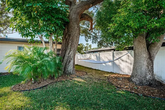a view of a backyard with large trees