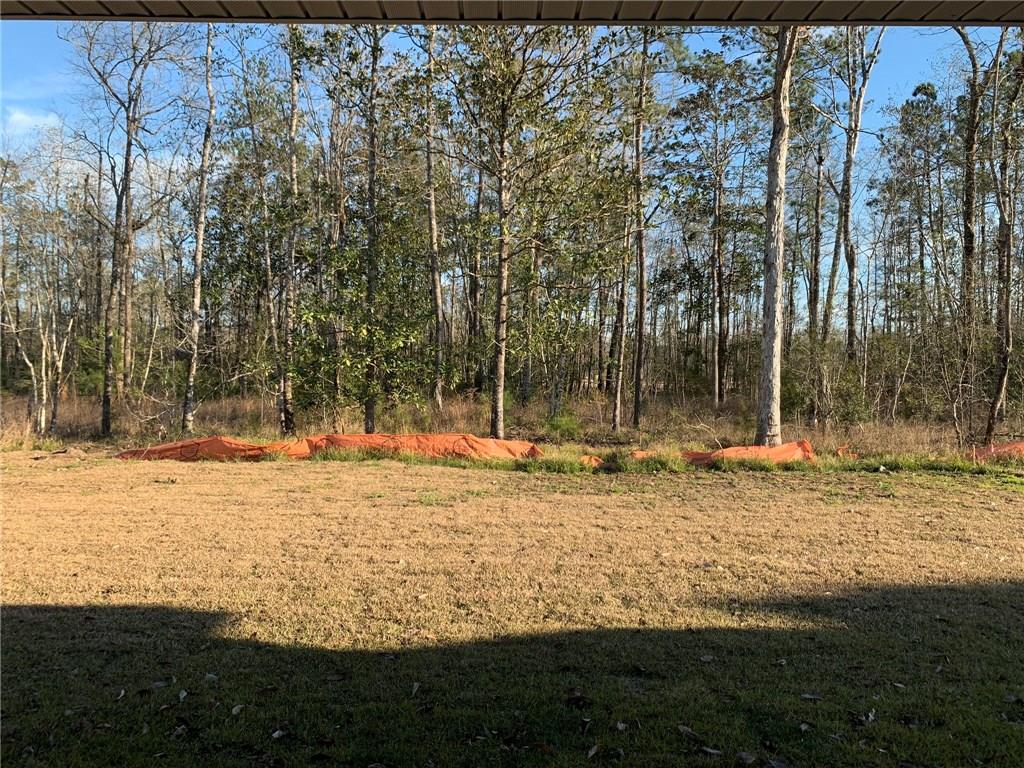 42328 Landing View Road Ponchatoula, LA 70454 - Photo 20 of 39 Gallery Image 20