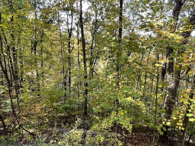 Lot 73 Hidden Treasure Murphy, NC 28906 - Photo 19 of 26