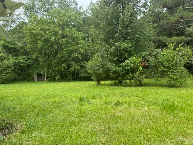 337 Burgess Road Ellijay, GA 30540 - Photo 14 of 15