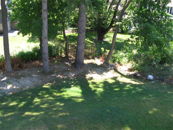 6 Lyndale Road Worcester, MA 01606 - Photo 21 of 21 a view of a tree in a yard
