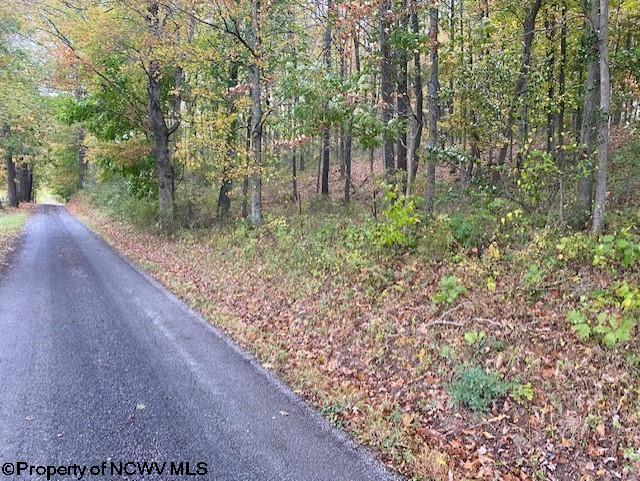 6-acres Hidden Valley Road Jane Lew, WV 26378 - Photo 1 of 10 Gallery Image 1