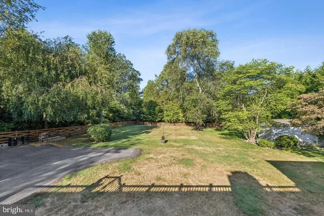 a view of a yard with plants