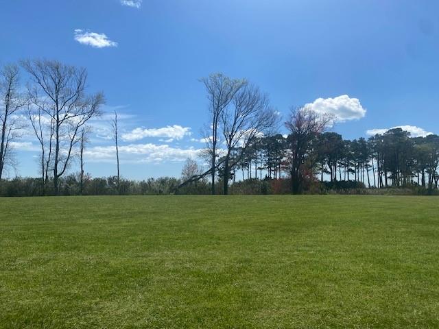 Lot 53 Ocean View Way, Unit 53 Parksley, VA 23421 - Photo 6 of 10