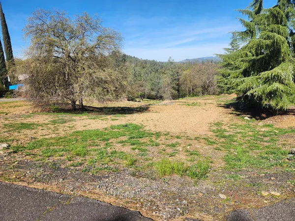 a view of a yard next to a building