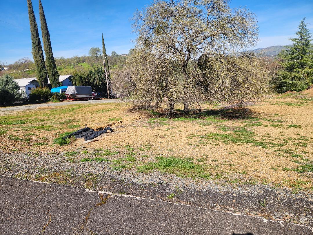 4464 Moccasin Court Copperopolis, CA 95228 - Photo 2 of 20 a view of a yard with a building in the background