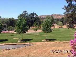 a view of outdoor space and yard