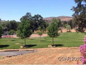 4464 Moccasin Court Copperopolis, CA 95228 - Photo 6 of 20 a view of a park with welcome board