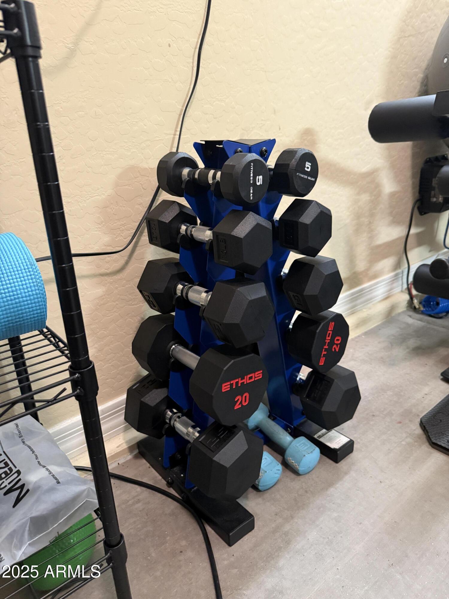 2245 West Clearview Trail Phoenix, AZ 85086 - Photo 32 of 76 Free Weights