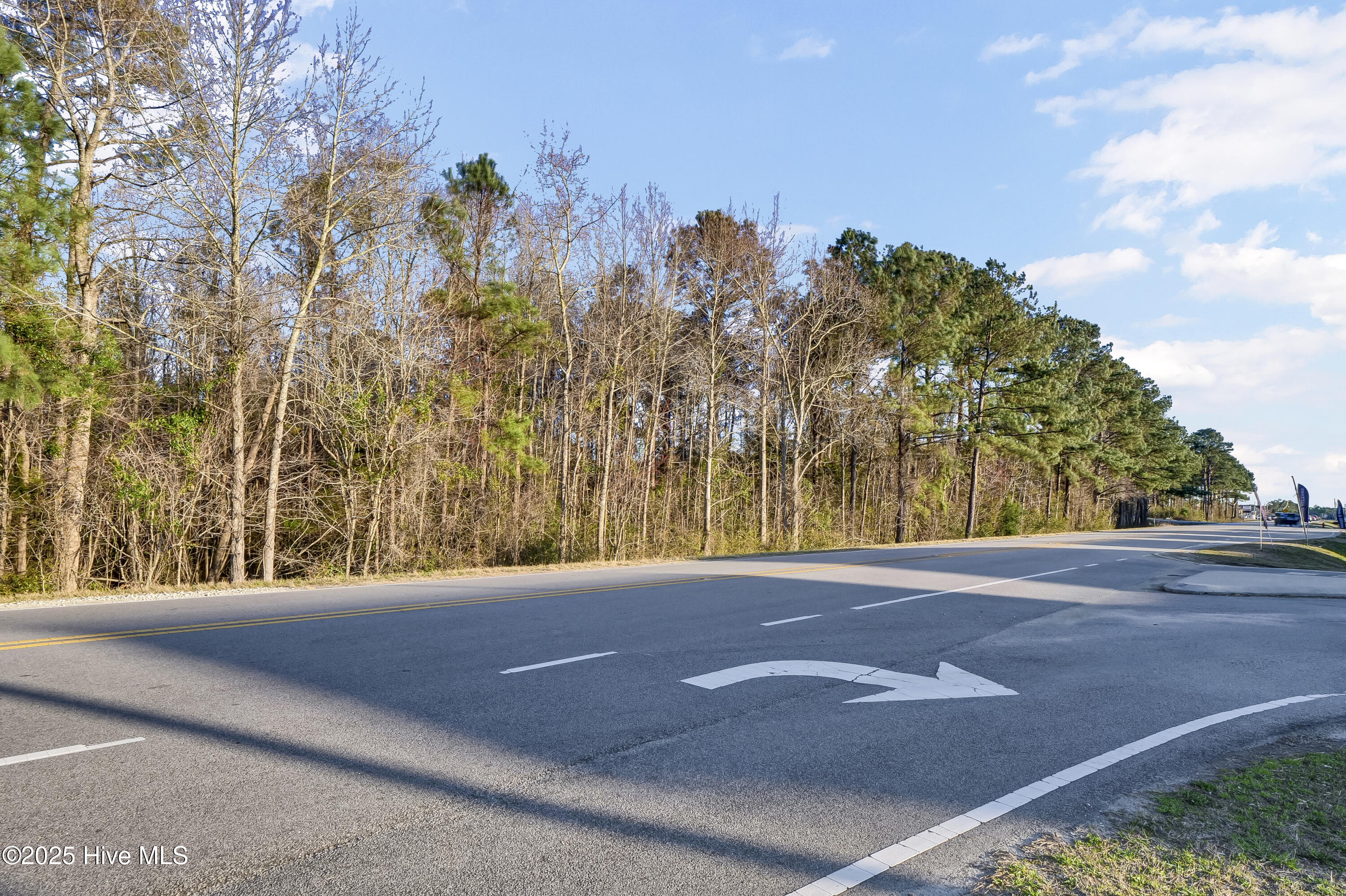 L7 State Highway 210 Sneads Ferry, NC 28460 - Photo 6 of 8 P1144443