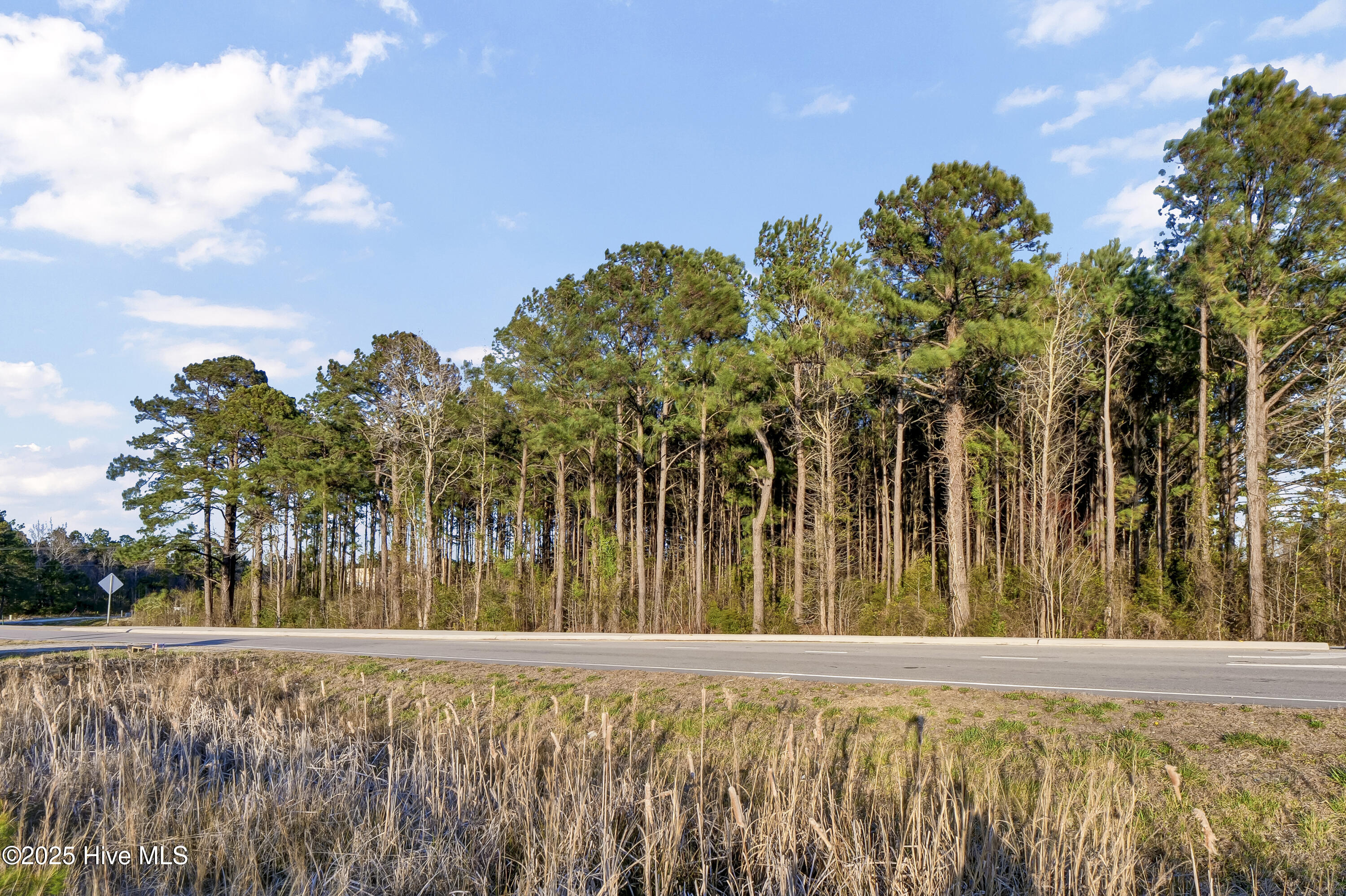 L7 State Highway 210 Sneads Ferry, NC 28460 - Photo 7 of 8 P1144448