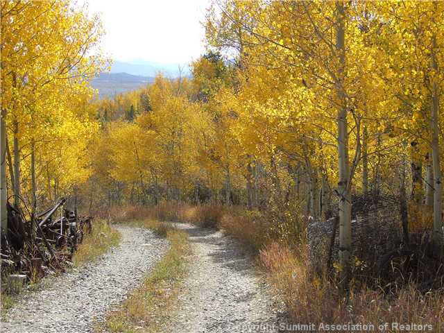 1555 South Ruby Road Silverthorne, CO 80498 - Photo 22 of 25 Other.