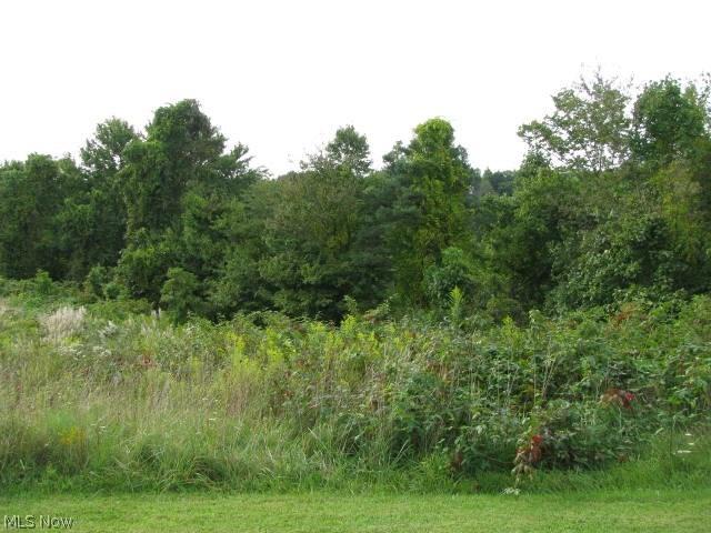 Larrick Ridge Road Cambridge, OH 43725 - Photo 6 of 11