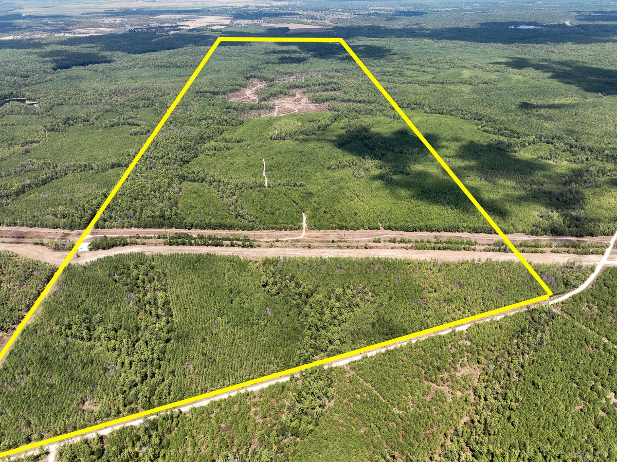 0 Lost Indian Camp Road Huntsville, TX 77320 - Photo 1 of 16 a view of small pool