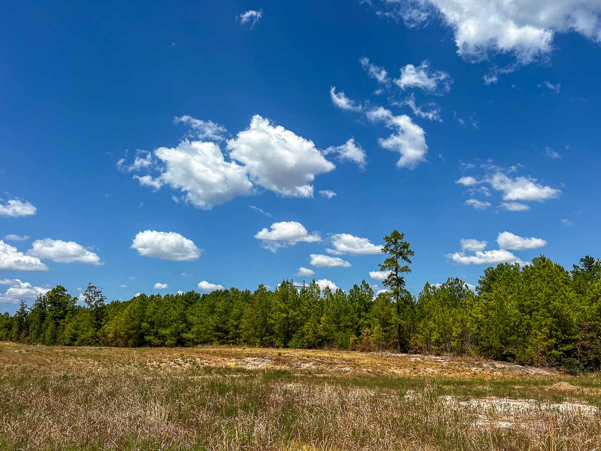 0 Lost Indian Camp Road Huntsville, TX 77320 - Photo 12 of 16 a view of a bunch of houses with yard