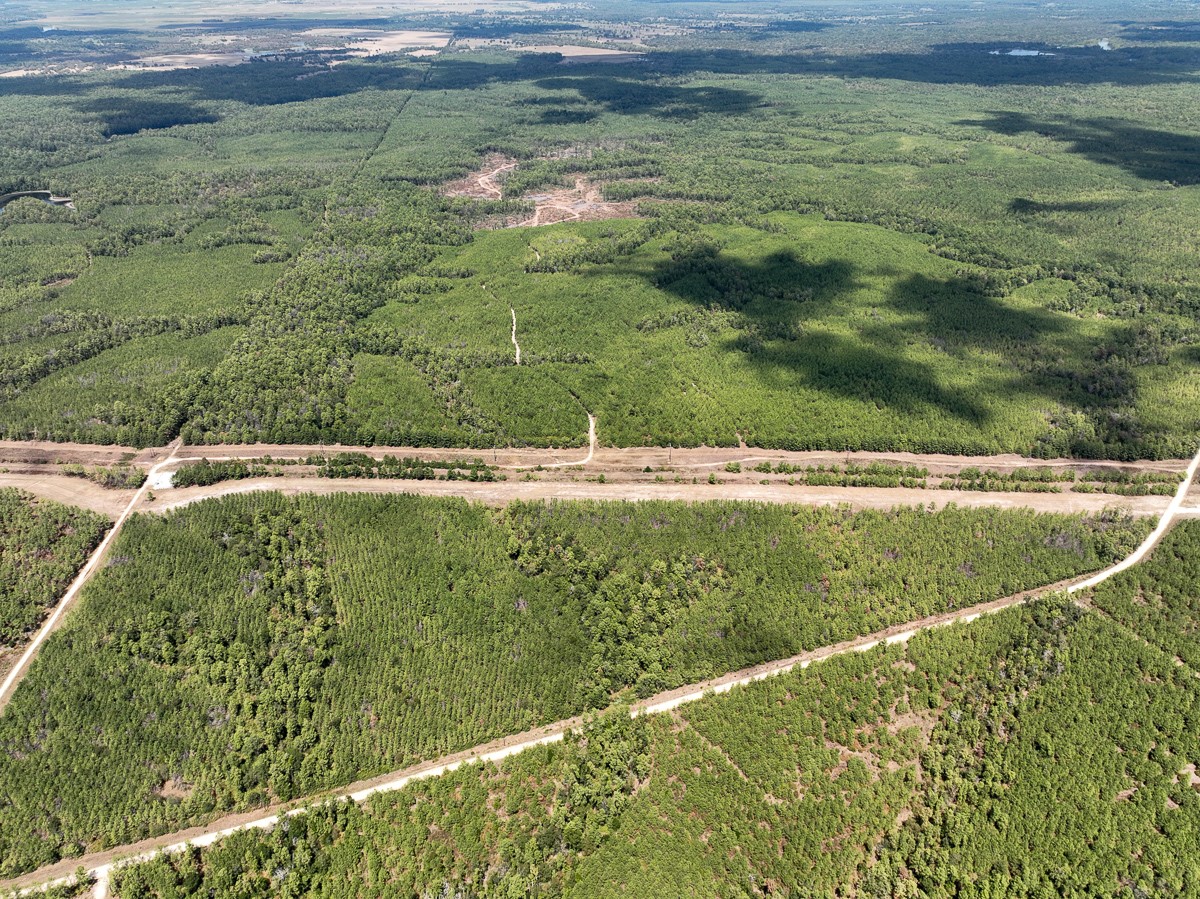 0 Lost Indian Camp Road Huntsville, TX 77320 - Photo 2 of 16 a view of a green yard