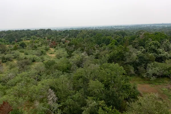 $69,000 | Lot 2 Private Road 4601, Waelder, TX 78959