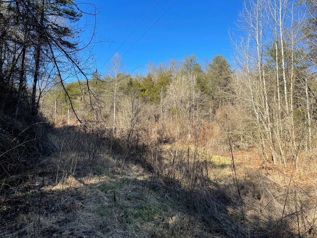 0 Sims Road Sevierville, TN 37876 - Photo 20 of 22