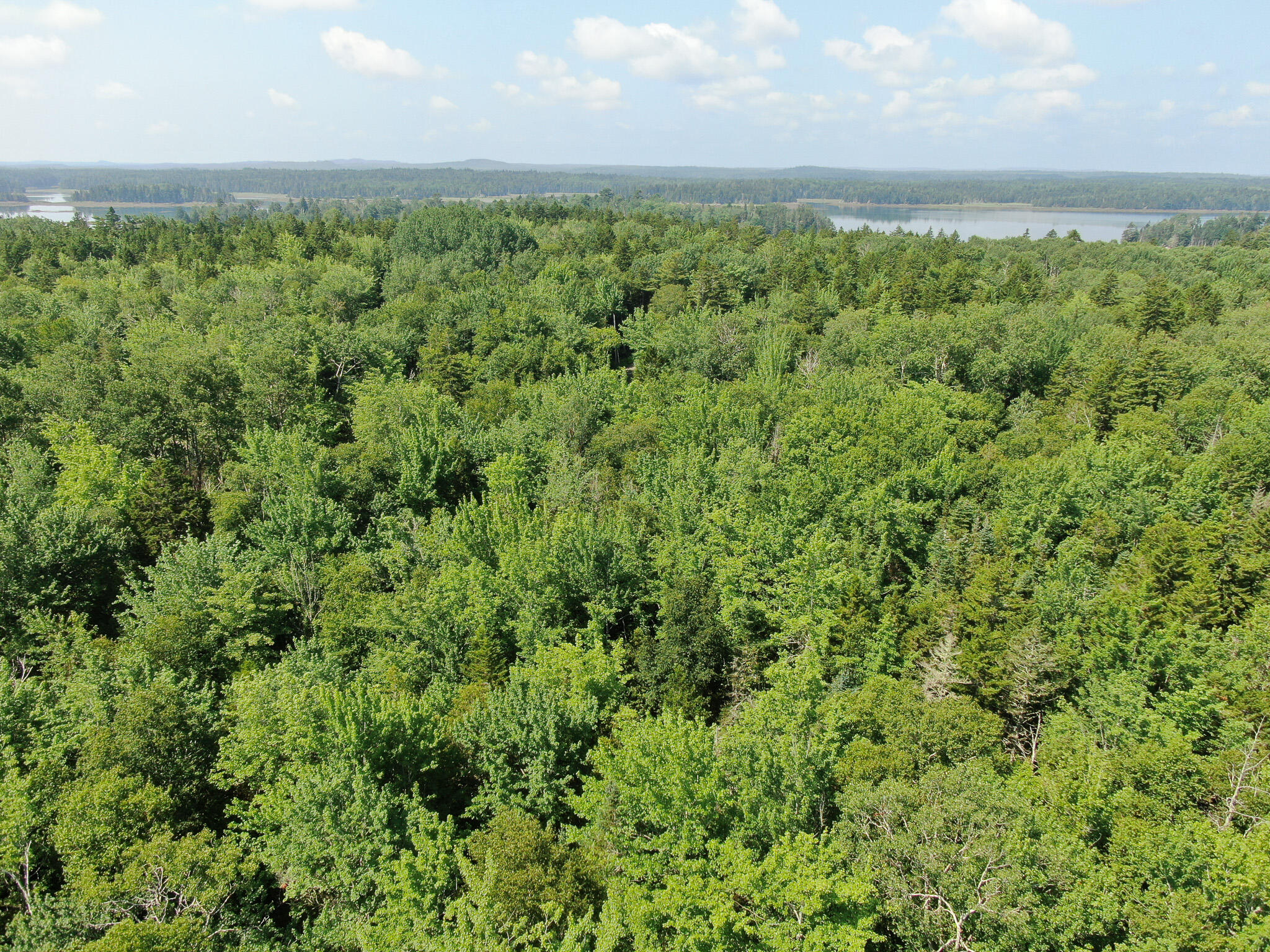 Lot 58 Coffins Neck Road Lubec, ME 04652 - Photo 3 of 11 DJI_0002