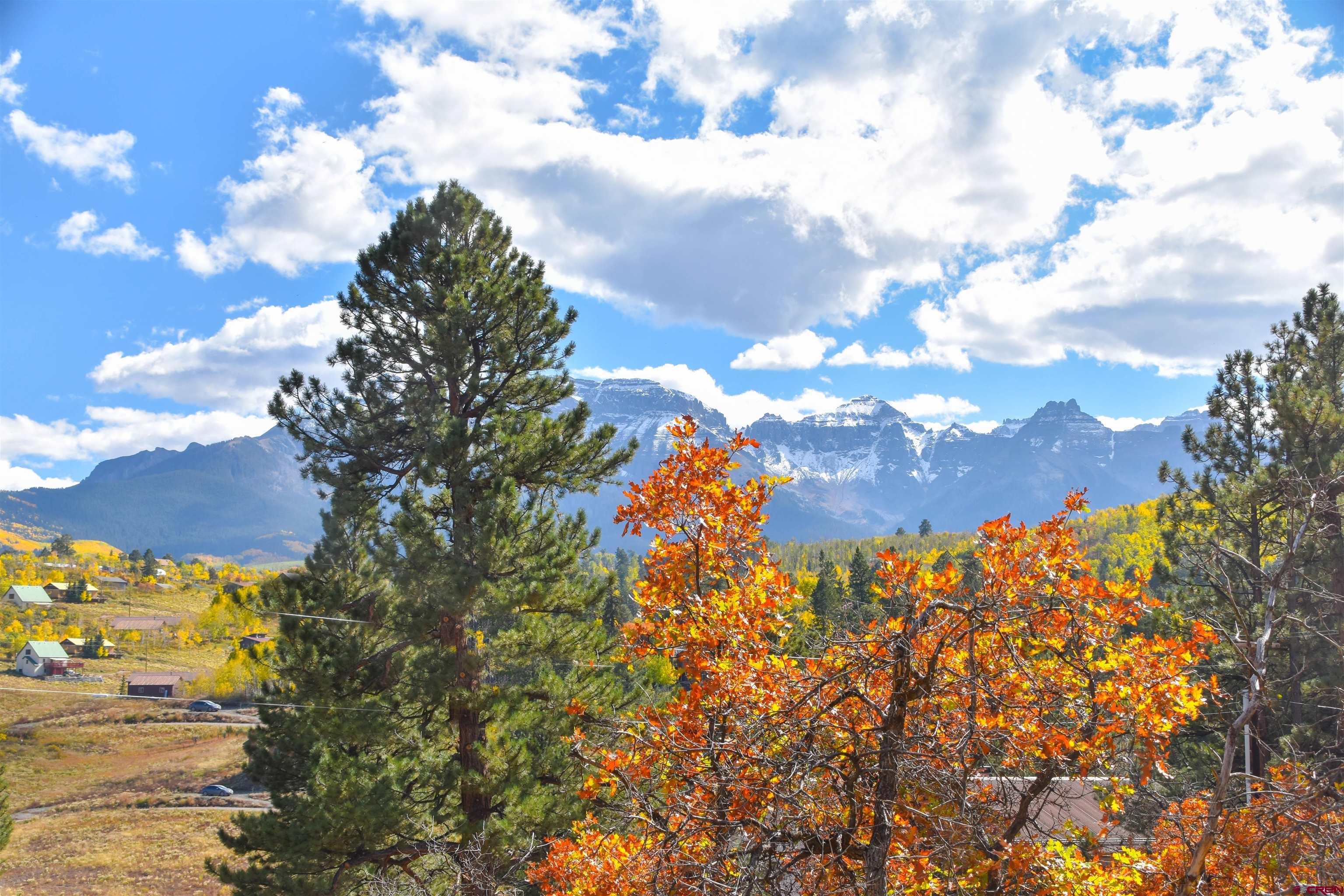 671 Forest Hill Road Ridgway, CO 81432 - Photo 3 of 14 Gallery Image 3