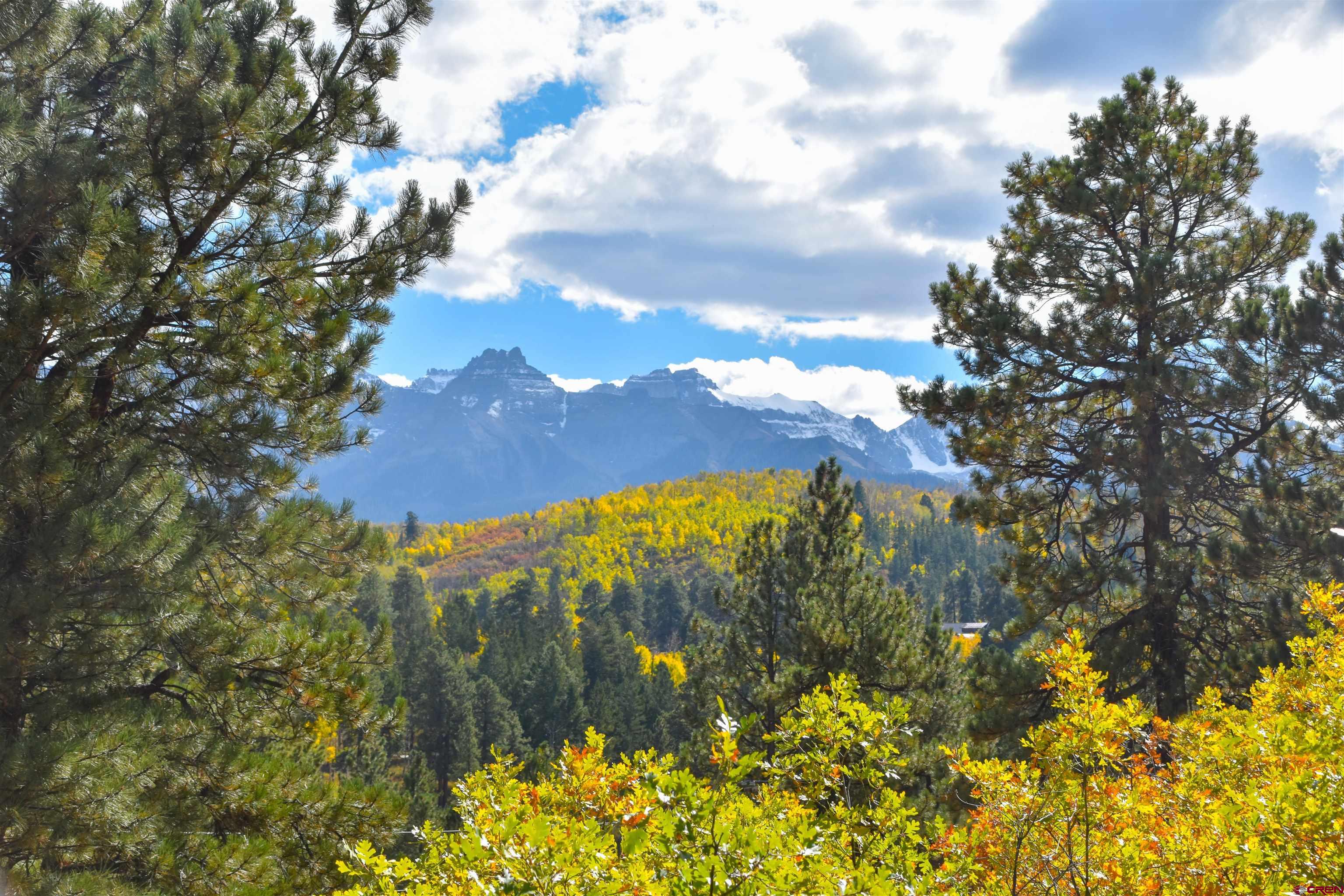 671 Forest Hill Road Ridgway, CO 81432 - Photo 4 of 14 Gallery Image 4
