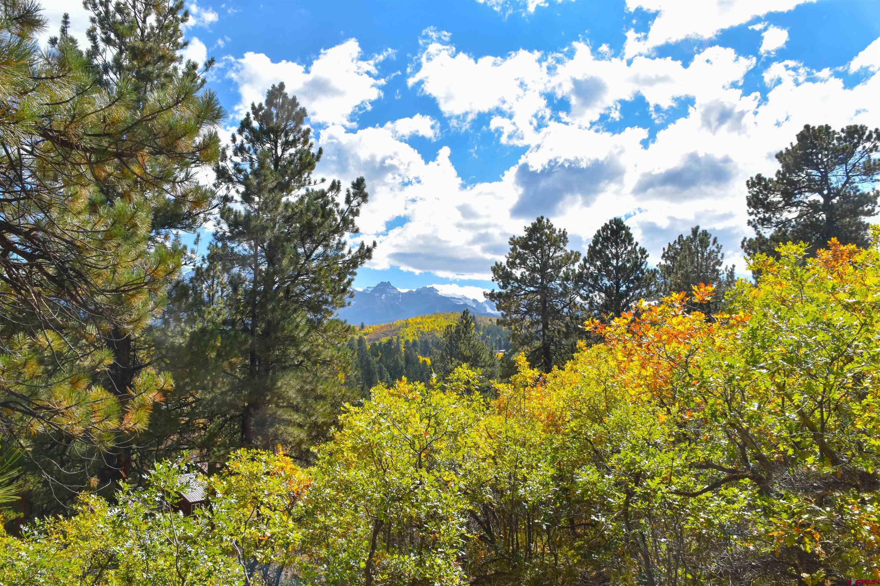 671 Forest Hill Road Ridgway, CO 81432 - Photo 5 of 14 Gallery Image 5