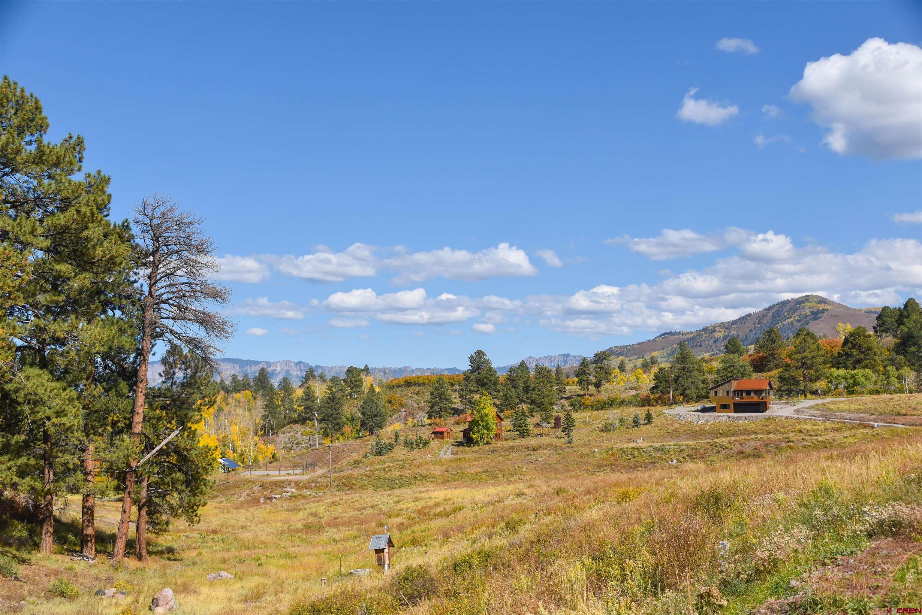 671 Forest Hill Road Ridgway, CO 81432 - Photo 9 of 14 Gallery Image 9