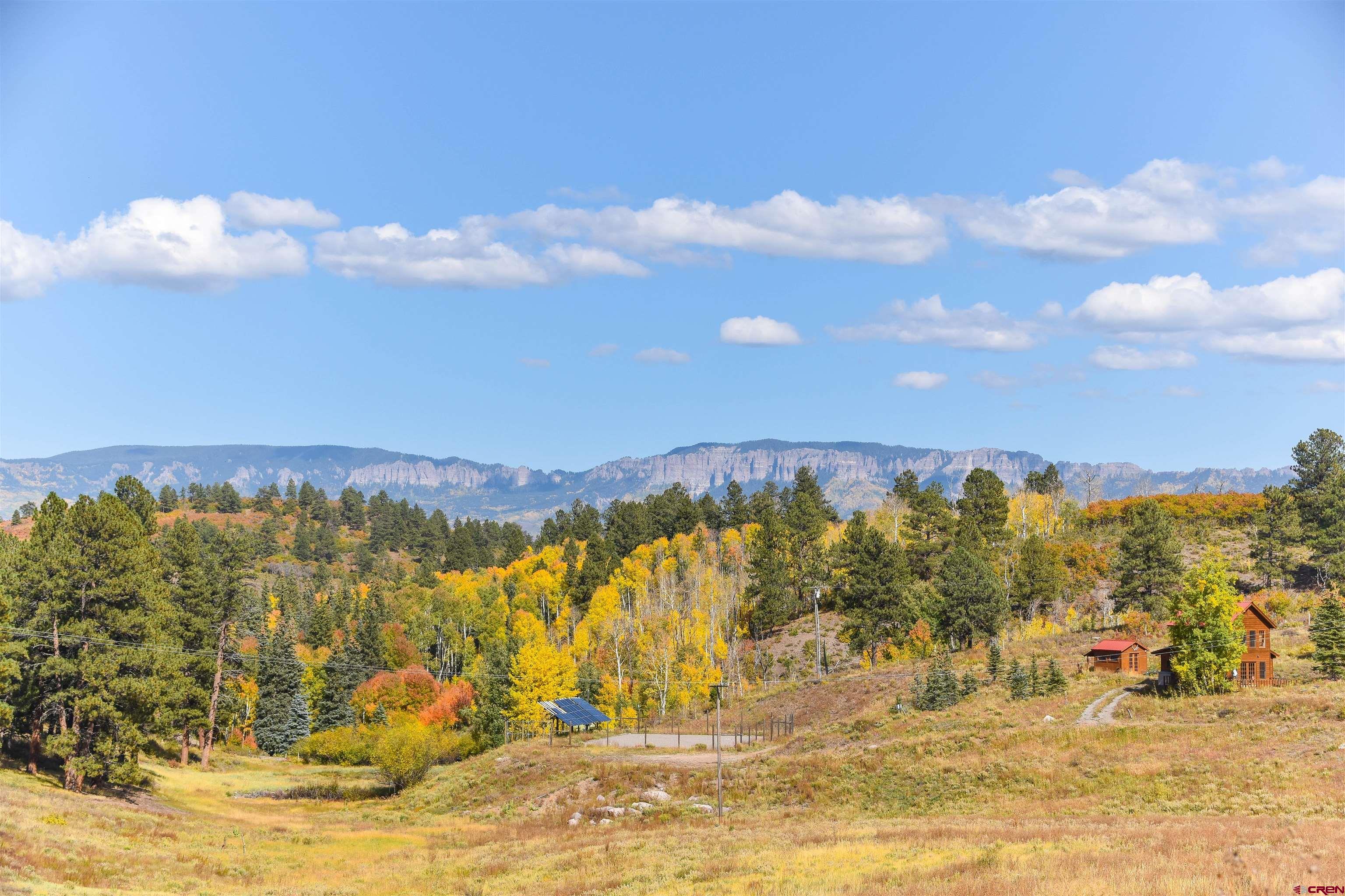 671 Forest Hill Road Ridgway, CO 81432 - Photo 10 of 14 Gallery Image 10