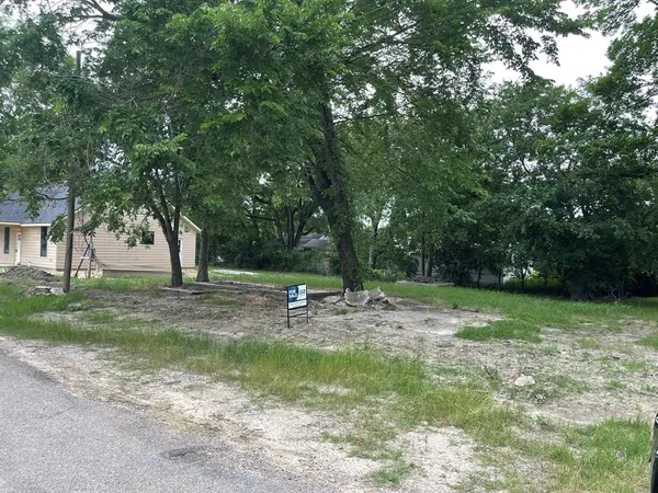a view of a tree in the middle of a yard