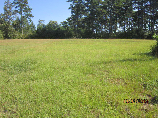 0 Riverside Drive Washington, GA 30673 - Photo 3 of 5