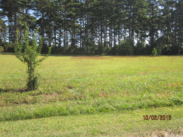 0 Riverside Drive Washington, GA 30673 - Photo 4 of 5