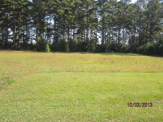 0 Riverside Drive Washington, GA 30673 - Photo 5 of 5