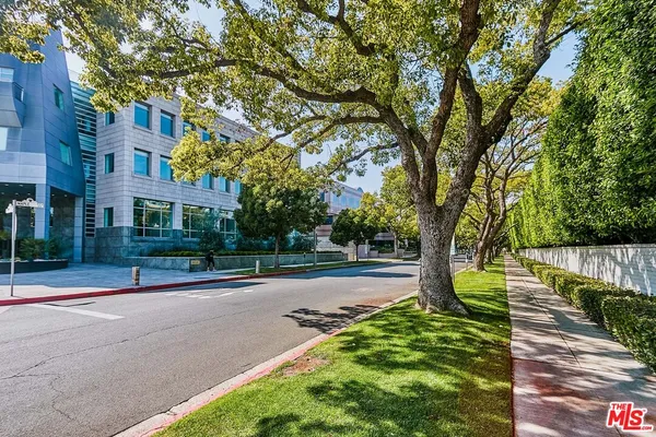 a street view with large trees
