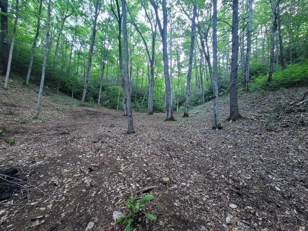 14 Cara Way Cosby, TN 37722 - Photo 5 of 18