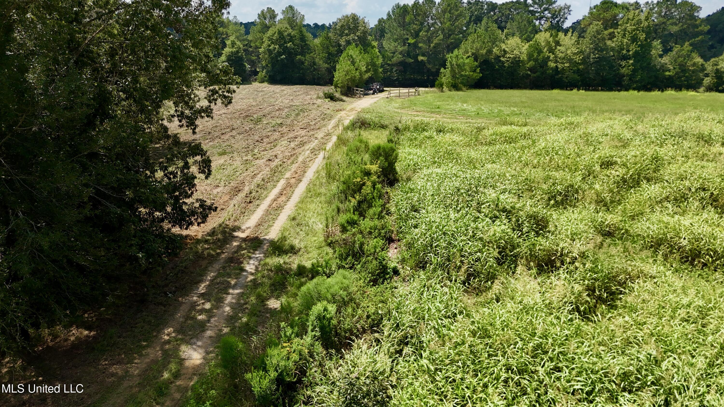 1 Sulphur Springs Road Canton, MS 39046 - Photo 11 of 30 dji_fly_20250819_121714_0220_17556243192