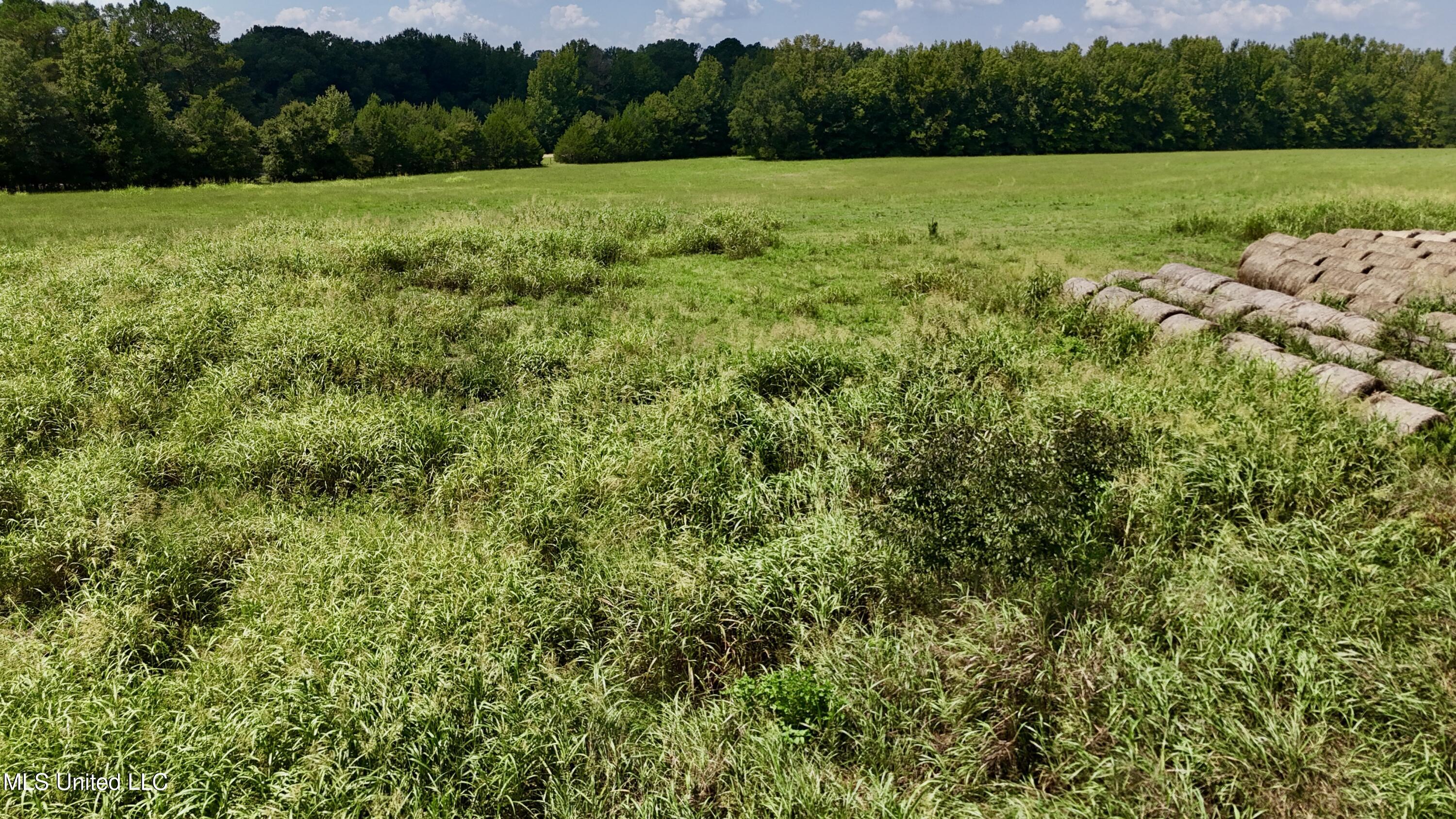 1 Sulphur Springs Road Canton, MS 39046 - Photo 12 of 30 dji_fly_20250819_121718_0221_17556243189