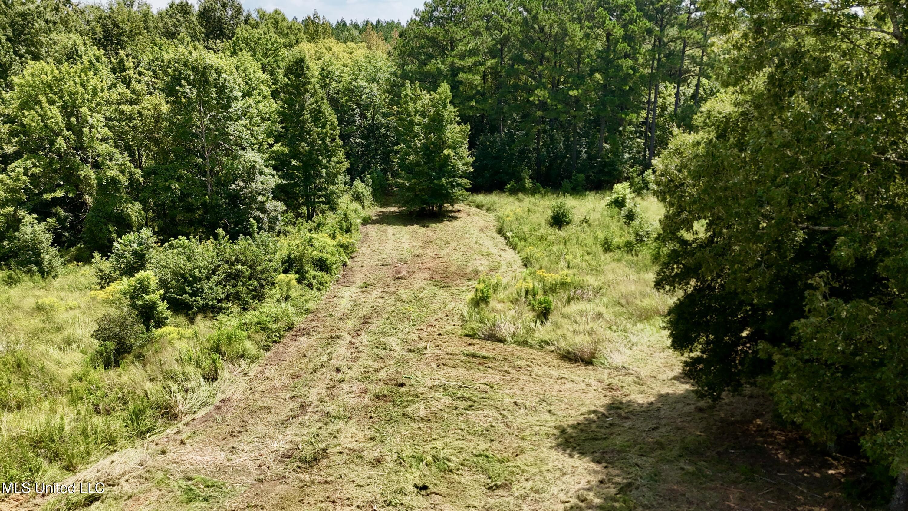 1 Sulphur Springs Road Canton, MS 39046 - Photo 13 of 30 dji_fly_20250819_121734_0222_17556243186