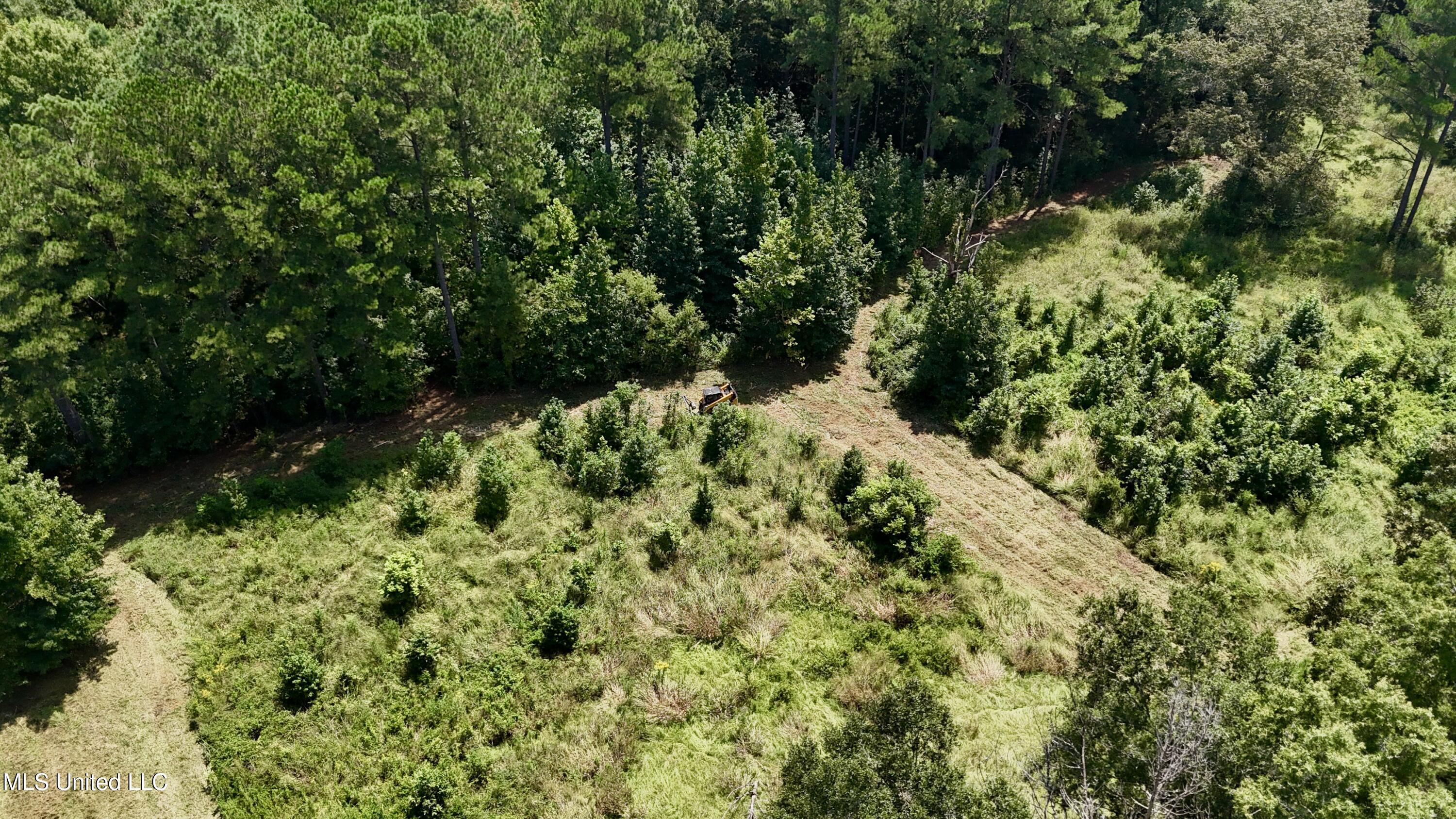 1 Sulphur Springs Road Canton, MS 39046 - Photo 14 of 30 dji_fly_20250819_121956_0225_17556243003