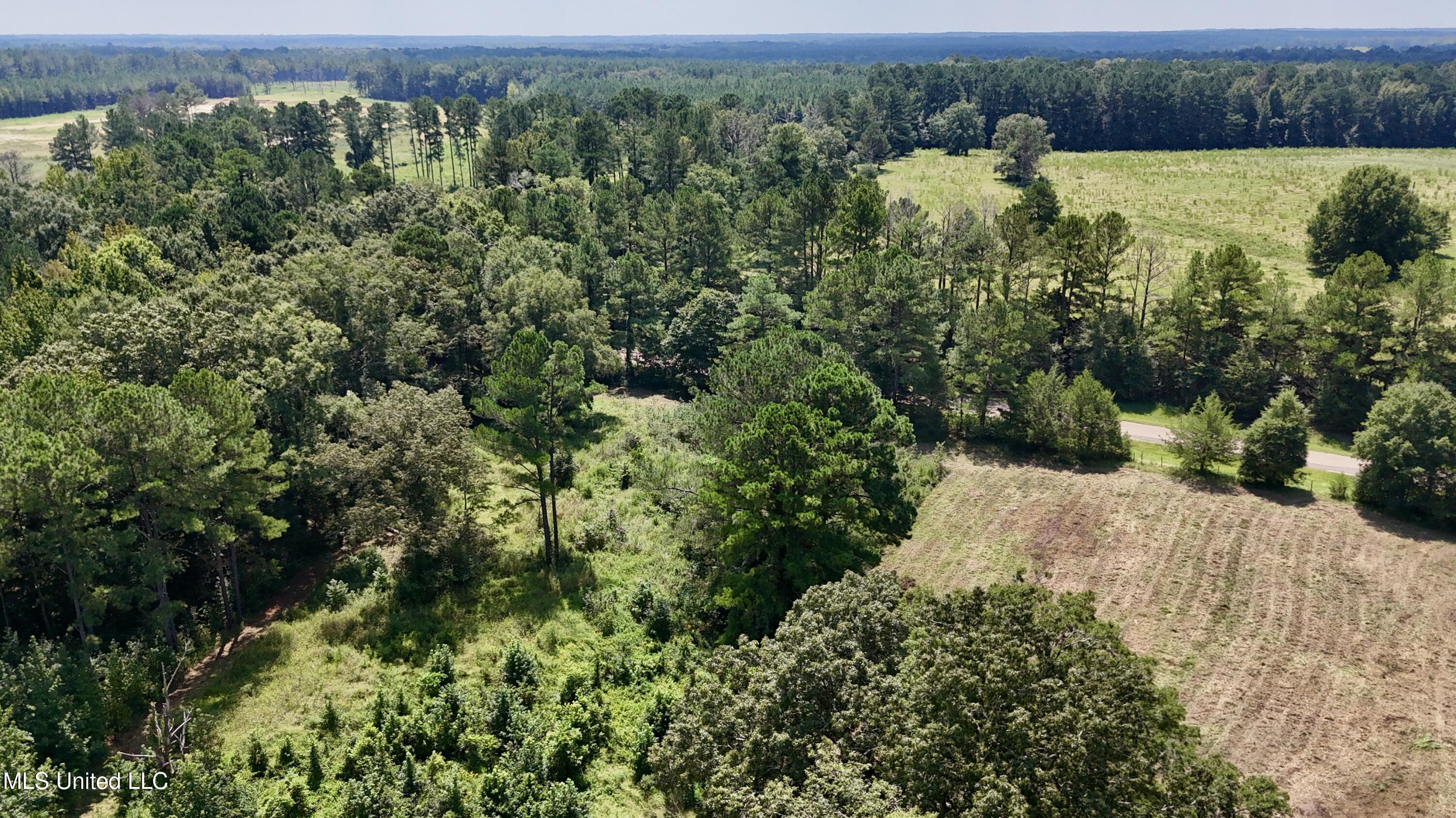 1 Sulphur Springs Road Canton, MS 39046 - Photo 15 of 30 dji_fly_20250819_122008_0226_17556242999
