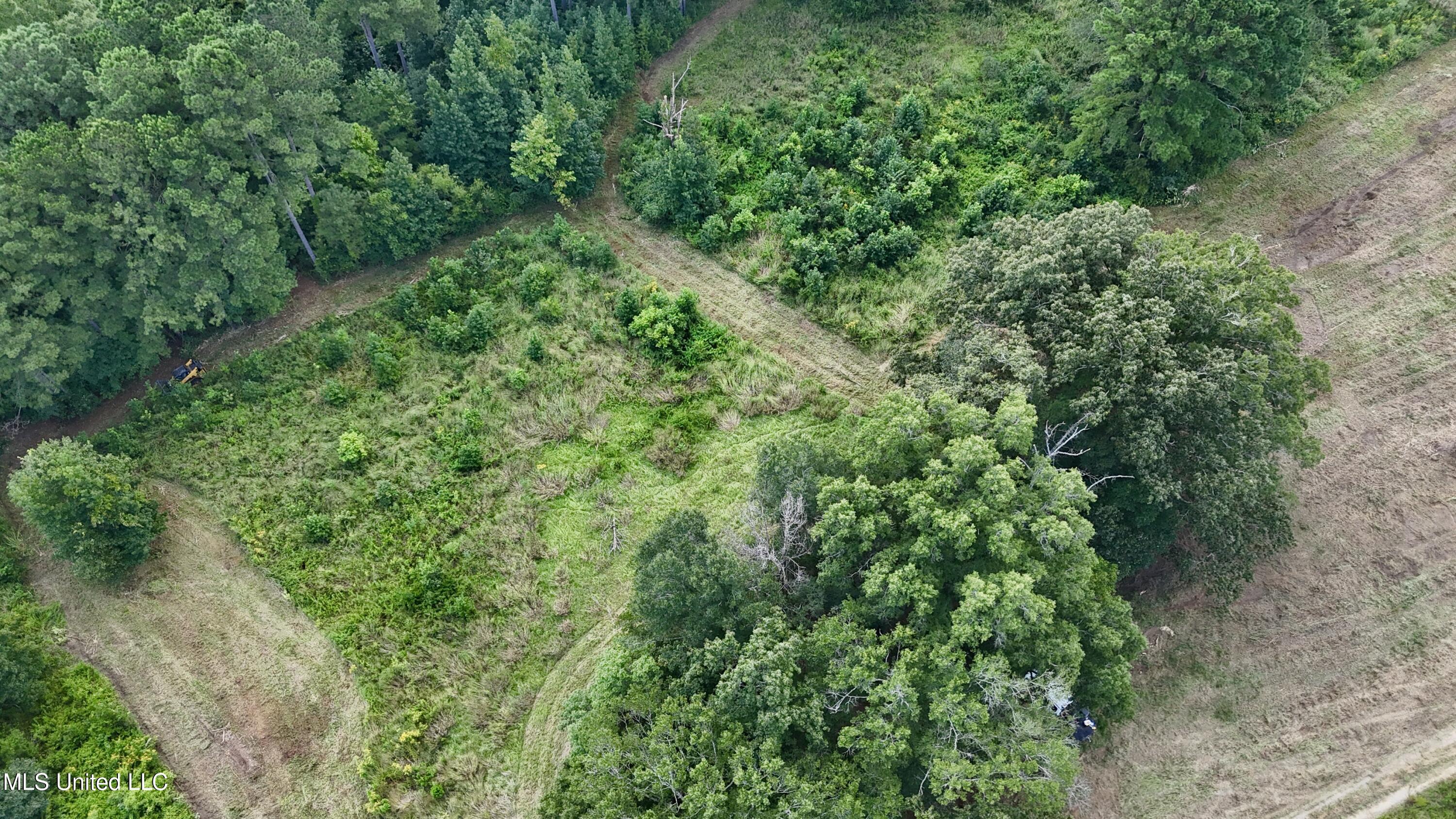 1 Sulphur Springs Road Canton, MS 39046 - Photo 16 of 30 dji_fly_20250819_121458_0211_17556243218
