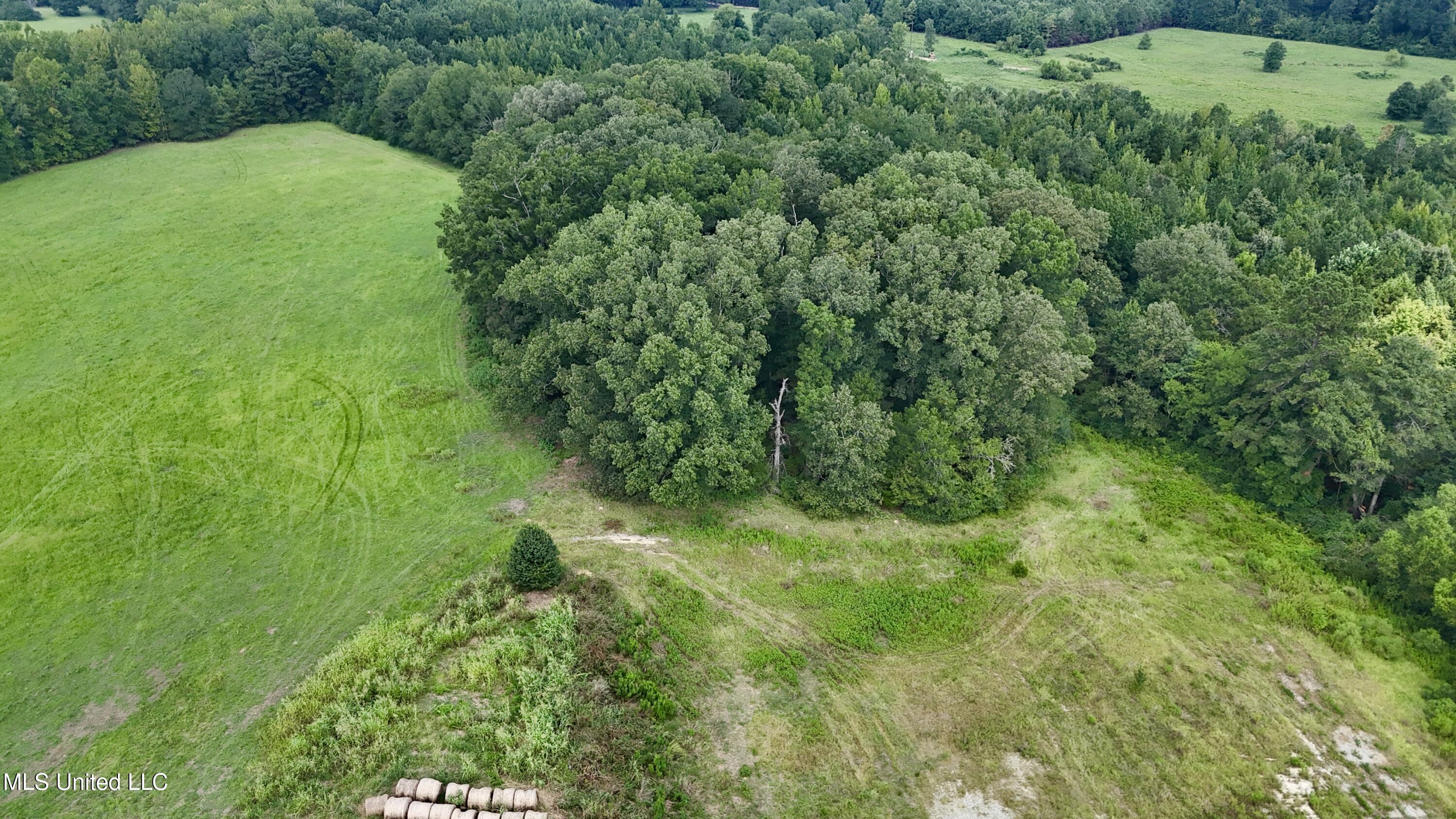1 Sulphur Springs Road Canton, MS 39046 - Photo 18 of 30 dji_fly_20250819_121542_0215_17556243206
